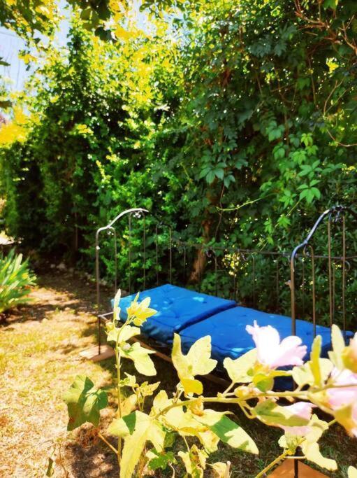 Gite La Petite Longere Septfonds Esterno foto